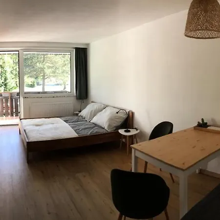 Hochkoenigreich Apartment Saalfelden